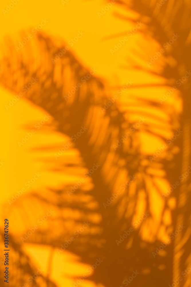 Obraz premium Tropical summer holidays blurred background with palm leaves shadows