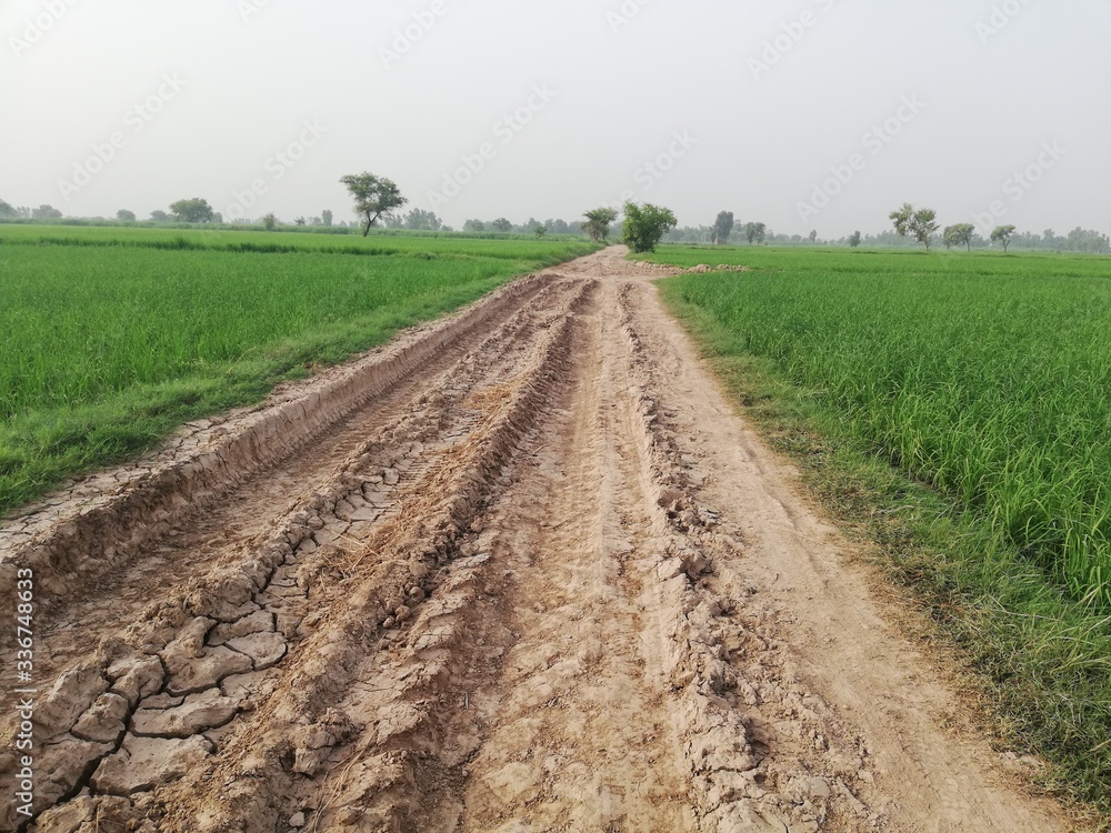 the rough way in fields the rough way in fields