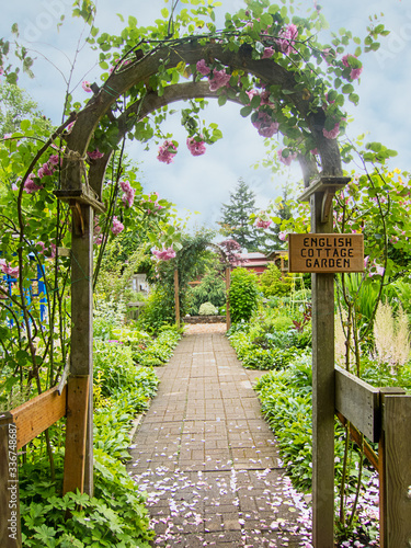 English cottage garden with an arch trellis and pink roses growing over it along a brick garden path in summer. photo