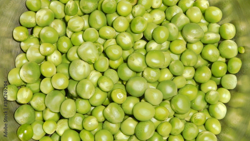 Green Peas Fresh Pictures 2020 this photo is taken in india.vishal stock photo Green Peas Fresh Pictures 2020 this photo is taken in india.vishal stock photo