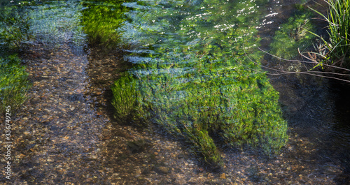 Chalk Stream River