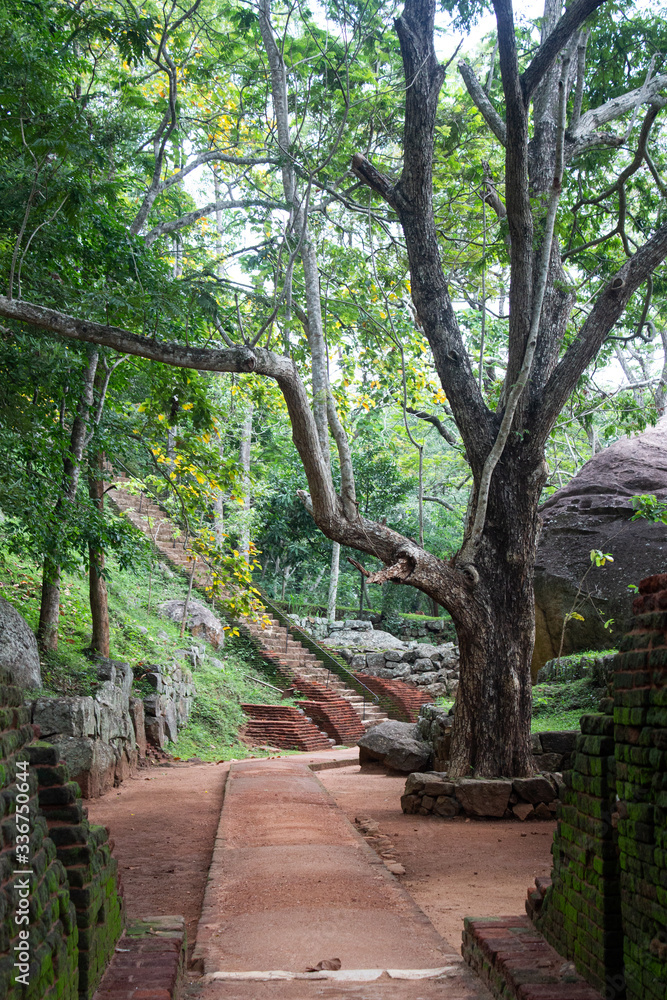 A path to Sigiriya Rock, Sri Lanka A path to Sigiriya Rock, Sri Lanka