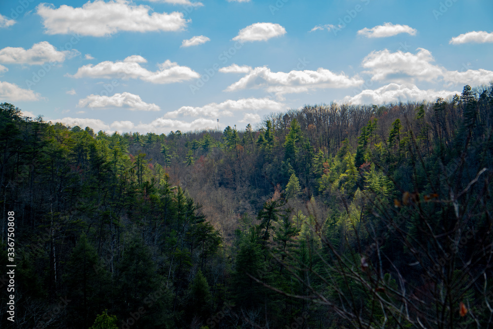 Obraz premium Quiet valley