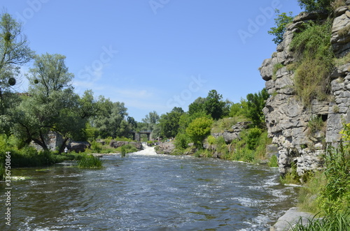 slow river in the forest