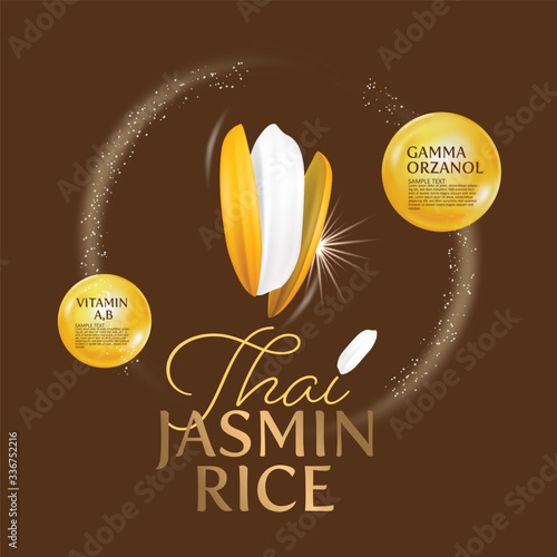organic paddy rice, ear of paddy, ears of Thai jasmine rice isolated vector illustration
