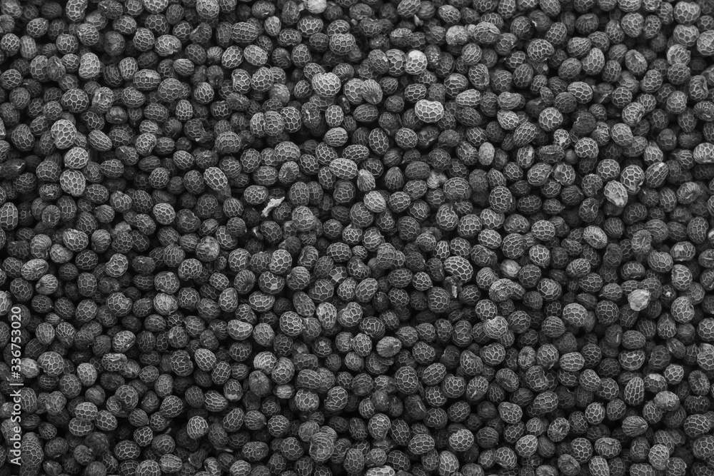 Poppy seed. Poppy seeds as backgroundб black and white texture Poppy seed. Poppy seeds as backgroundб black and white texture