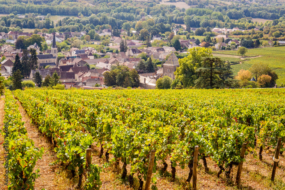 16 September 2019. Santenay village  in Burgundy, France.