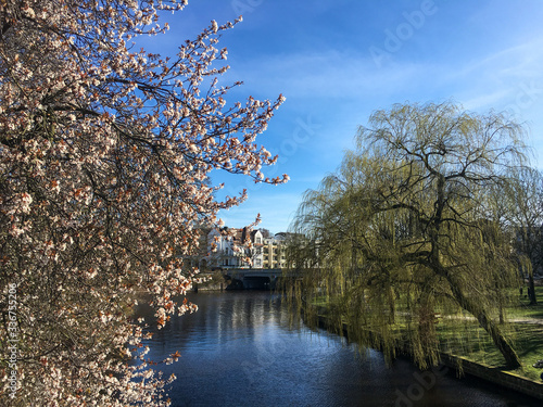 Blick auf die Alster in Eppendorf photo