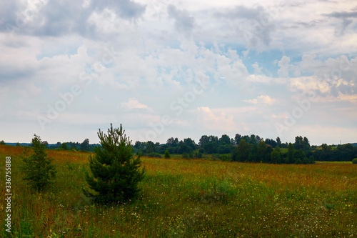 Disturbing clouds are located over a field of wild flowers. Ivanovo region, Russia.