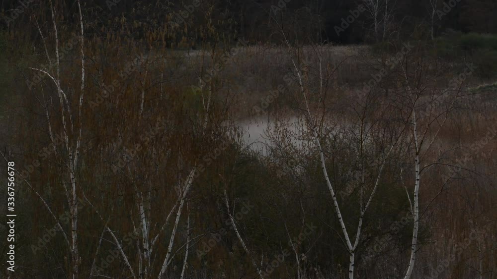 Dawn impressions in nature reserve in Falkensee in Brandenburg near Berlin Spandau on April 8, 2020, Germany Dawn impressions in nature reserve in Falkensee in Brandenburg near Berlin Spandau on April 8, 2020, Germany