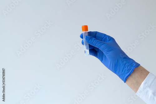 hand in blue glove holding test tube on grey background. Medical healthcare. Doctor hands in gloves in hospital. People in white uniform in lab. copy space