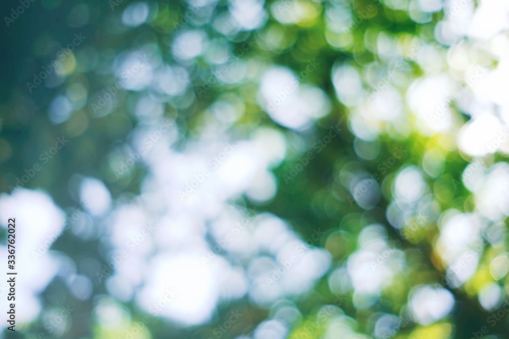 Abstract Beautiful Natural Bokeh with Sun Beam in the Morning Background. Abstract Beautiful Natural Bokeh with Sun Beam in the Morning Background.