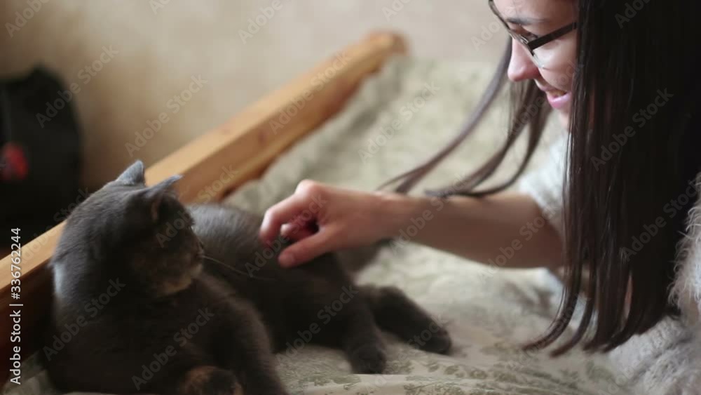A young girl is playing with her cat. A beautiful gray cat is playing with his beloved ball. A gray cat enjoys the caress of his mistress. A young girl is playing with her cat. A beautiful gray cat is playing with his beloved ball. A gray cat enjoys the caress of his mistress.
