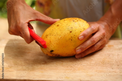 Female hands peeling large yellow ripe mango fruit