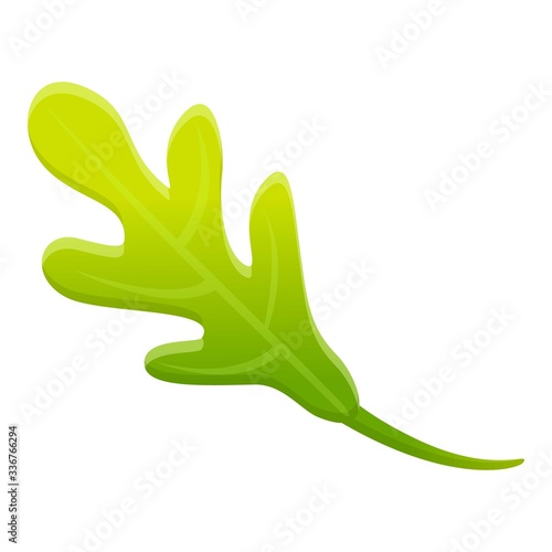 Rucola leaf icon. Cartoon of rucola leaf vector icon for web design isolated on white background