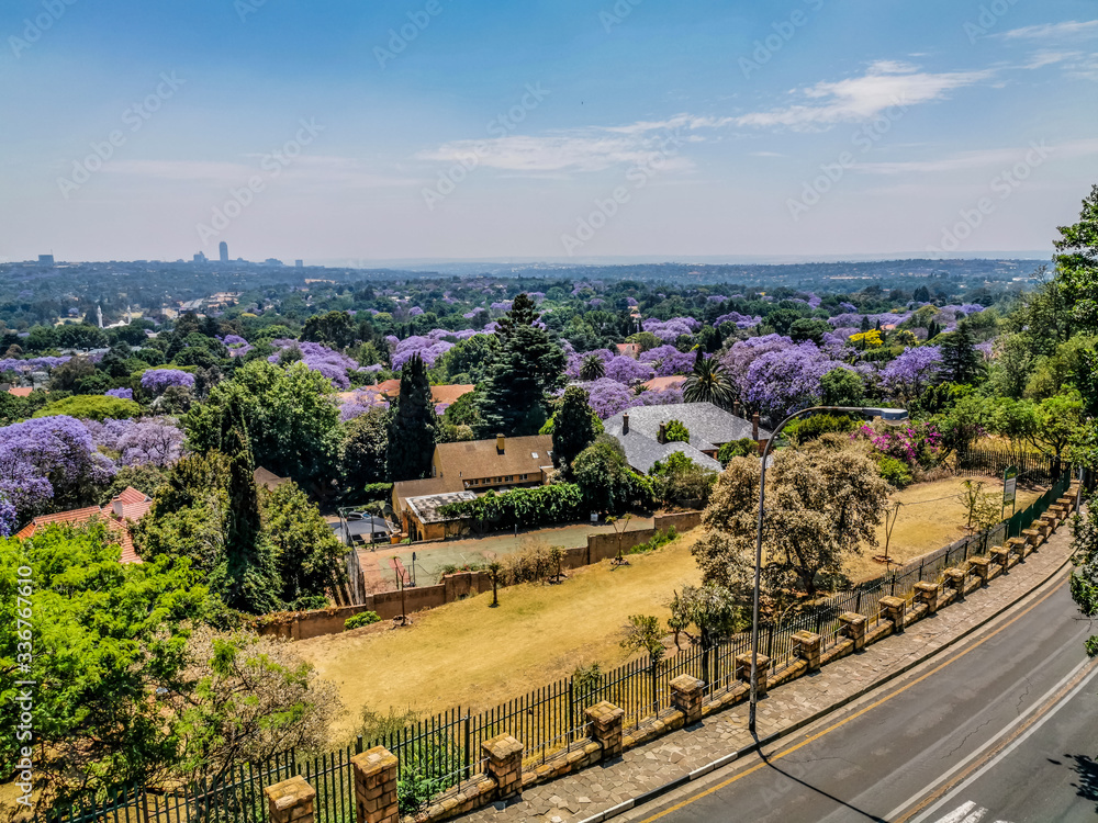Obraz premium Aerial view of Johannesburg , the largest urban forest during Spring - Jacaranda blooming in October in South Africa