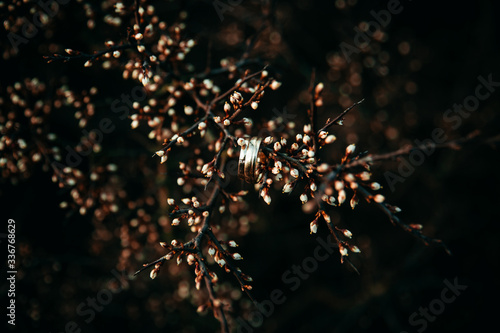 Ringshot Ringe Trauringe Close Up Details photo