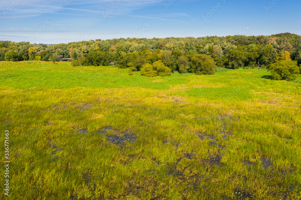 Aerial view of a dried-up marsh near a small woodland along the St. Lawrence River.