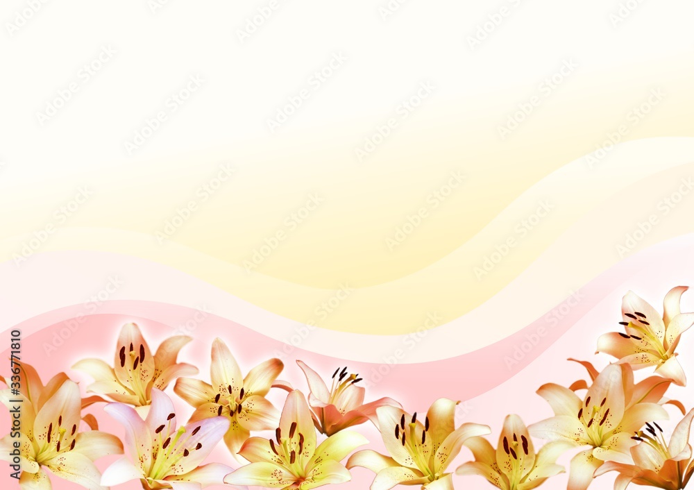 Obraz premium Flower composition of lilies on gradient background