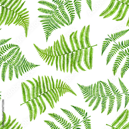 Watercolor green fern leaves seamless pattern. Hand painted forest plant Polypodiopsida texture isolated on white background. Realistic illustration for decoration, invitations, textile, wrapping.