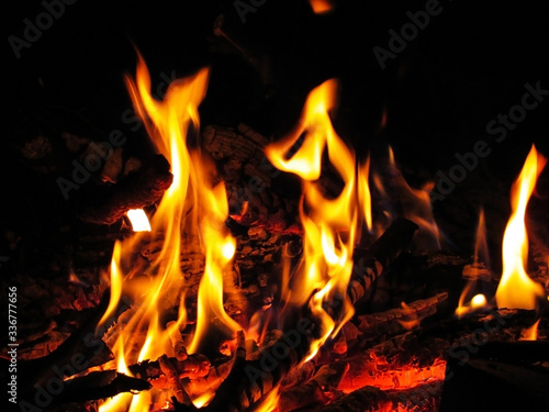 bonfire with branches at night in the forest. tongues of fire. flames of fire. night fire 