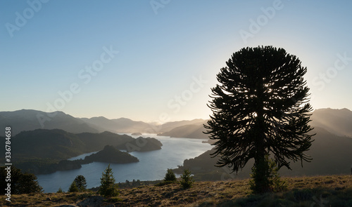 Wallpaper Mural Alumine lake in Pehuenia Torontodigital.ca