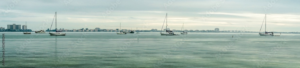 harbor with sailboats