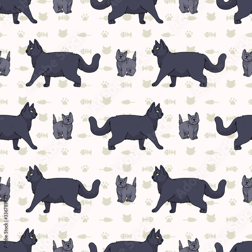 Cute cartoon British shorthair cat and kitten seamless vector pattern. Pedigree kitty breed domestic kitty background. Cat lover English purebred all over print. Feline EPS 10. 