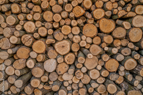 round firewood texture background. Pile of wood logs. Forest logging site. felled tree trunks. wood for barbecue. fireplace or boiler. 