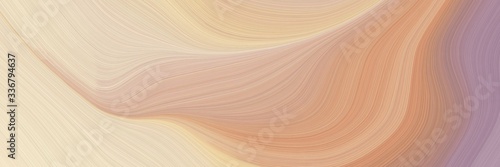 Fototapeta modern colorful designed horizontal header with tan, rosy brown and wheat colors