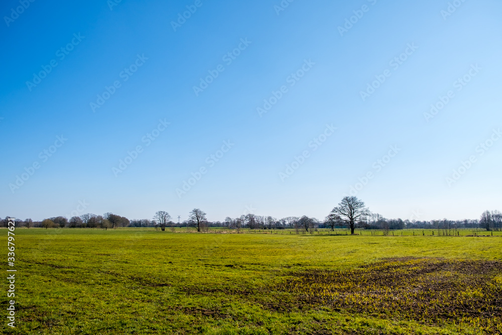 An open field of green grass with distant trees on a beautiful sunny day with a blue sky.