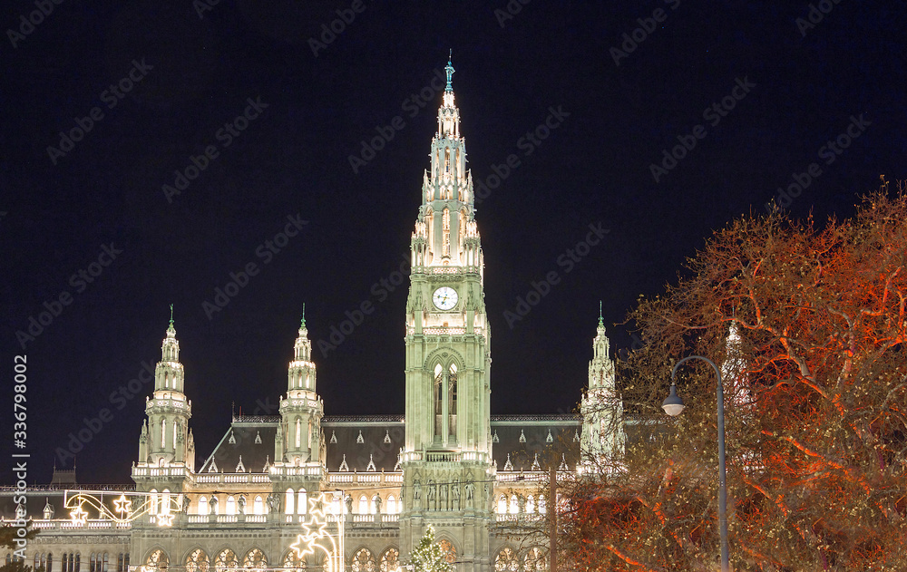 The famous Rathaus -City Hall of Vienna , Austria.