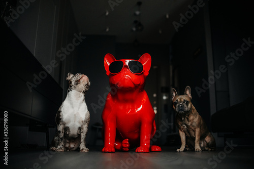 two french bulldog dogs posing with a figurine