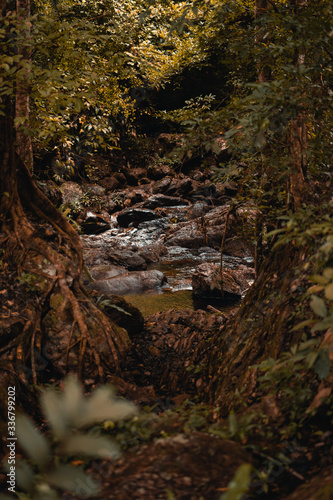 Waterfall in dark forest.