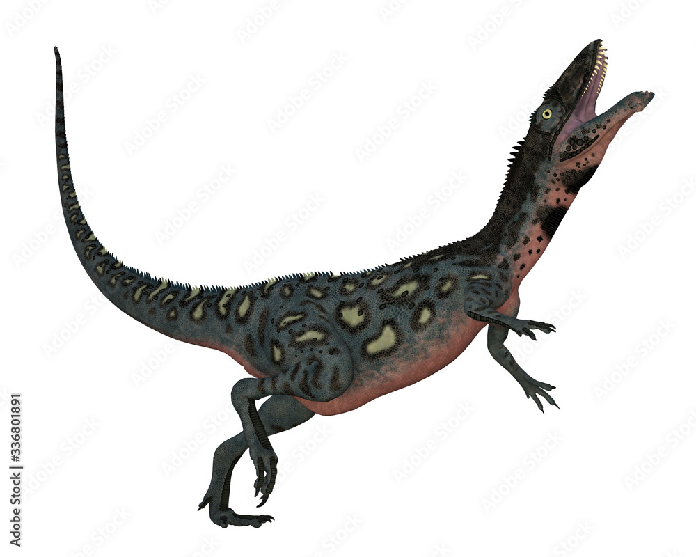 Fototapeta premium Masiakasaurus knopfleri dinosaur head up isolated in white background - 3D render