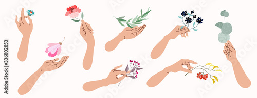 Wallpaper Mural Hands holding flowers and tree branches. Collection of isolated vector illustrations of female hands holding different botanicals. Beauty and nature concept. Romantic clip art elements for web design. Torontodigital.ca