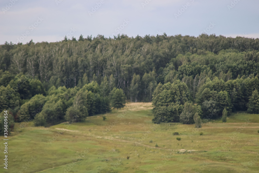 landscape with trees landscape with trees