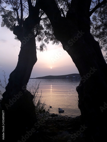 Sunset between two trees above greece sea