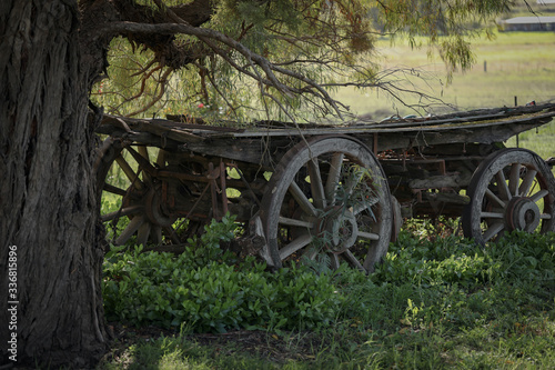 Historic antique wagon in rustic outdoor setting