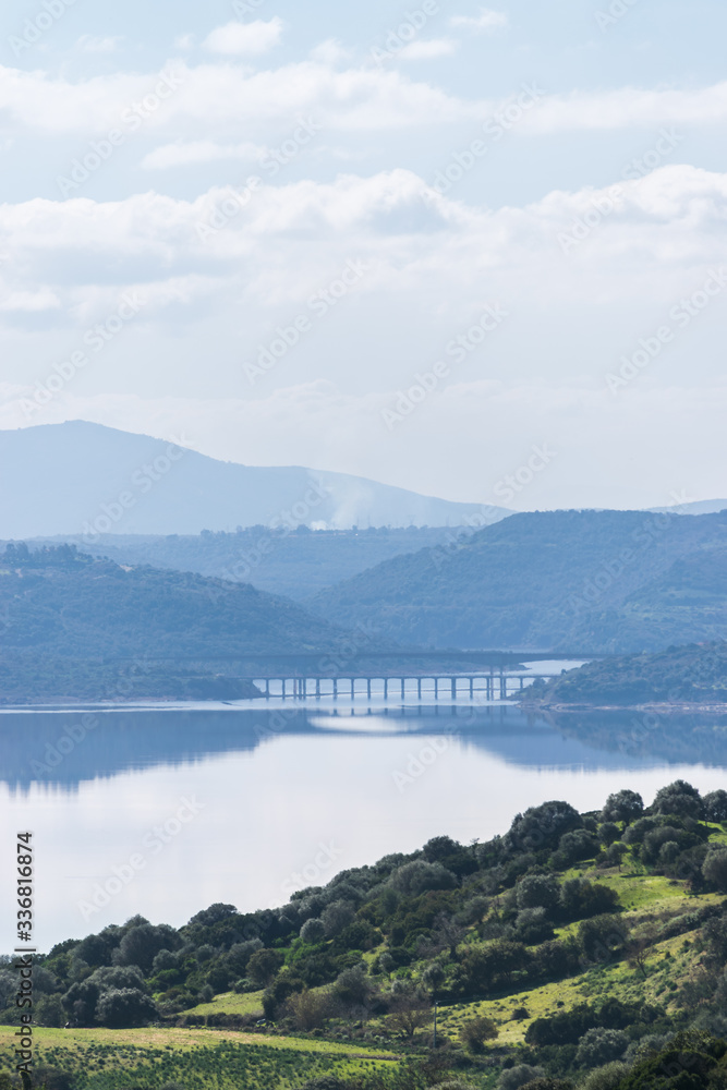 Obraz premium Bridge over the Tirso river