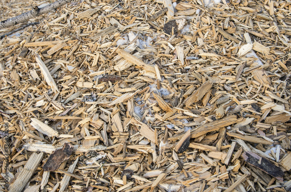 Forest management. Clearing woodlands from branches in winter. Wood chips in the snow. Forest management. Clearing woodlands from branches in winter. Wood chips in the snow.