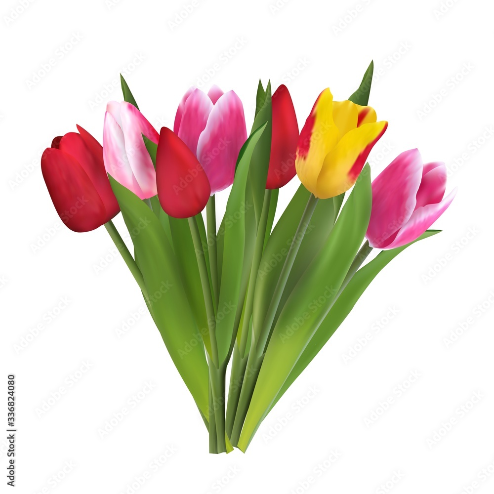 Obraz premium Beautiful, bright flowers tulips, a gift for a woman on a holiday. Vector template for creativity, wedding invitations, greeting cards