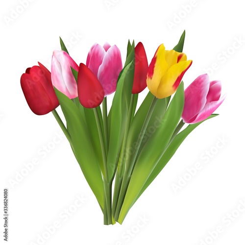 Beautiful  bright flowers tulips  a gift for a woman on a holiday. Vector template for creativity  wedding invitations  greeting cards