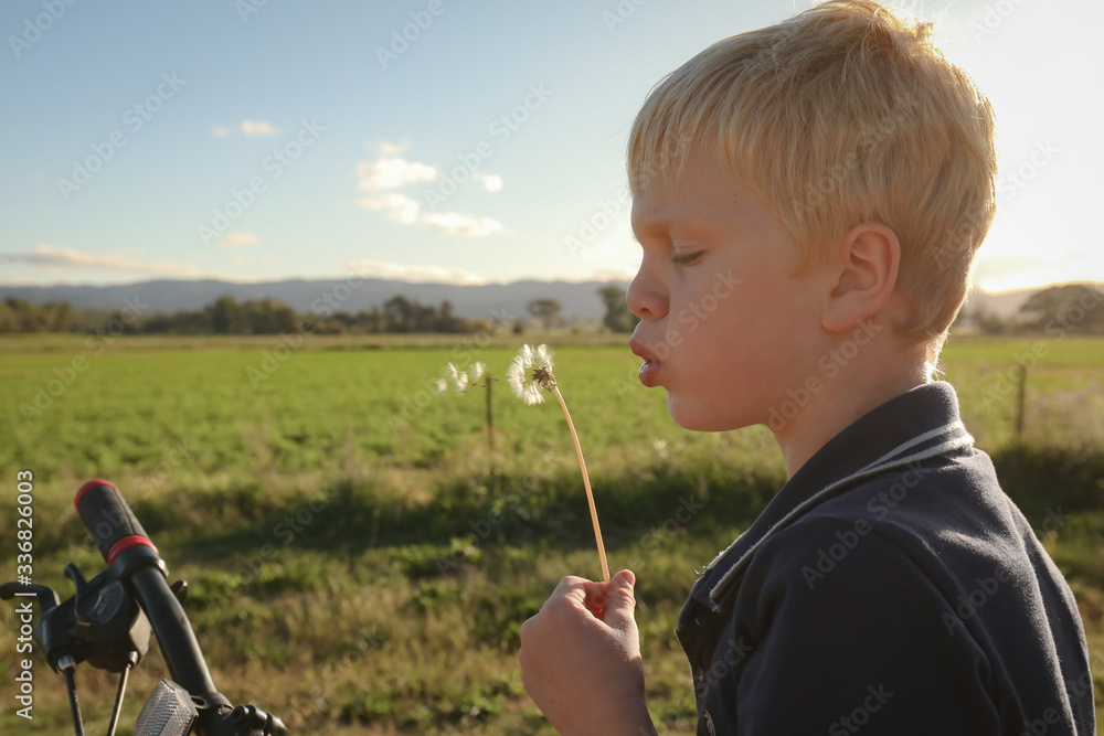 Little boy blowing dandelion to make a wish