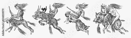 Witch flies with a broom and a dog, a goat and a boar. Ancient mythical Magic characters set. Engraved monochrome sketch. Hand drawn vintage old Fortune illustration.