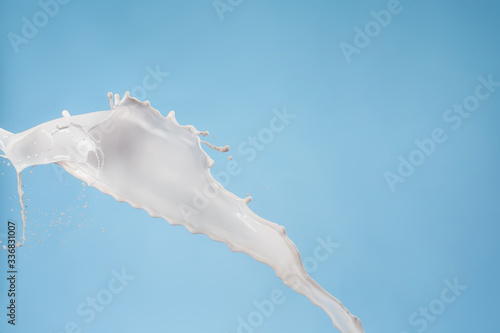 Splash of milk on color background