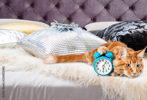 Fotografie Alarm.