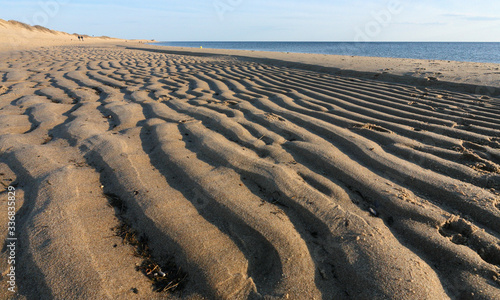 Canvas Print Flowing Sand Curve at Herring Cove Beach, Cape Cod, Massachusetts, USA