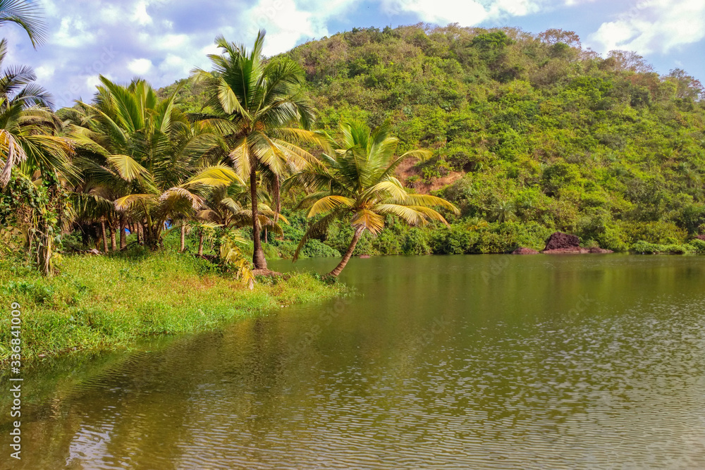Palm tree in the sun on the background of a tropical lake, green mountains and clouds, tropical landscape, sun glare and color illumination.