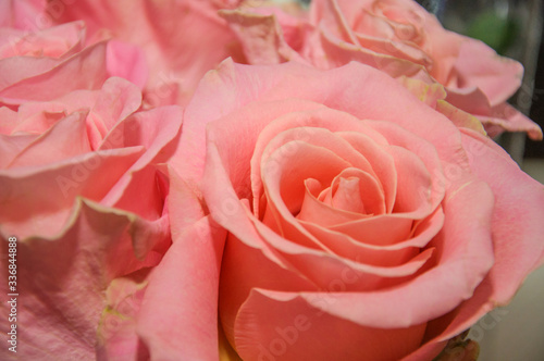 A bouquet of beautiful pink roses close up